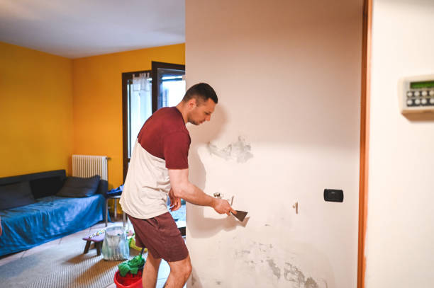 Best Mold Damage Repair  in Mancelona, MI